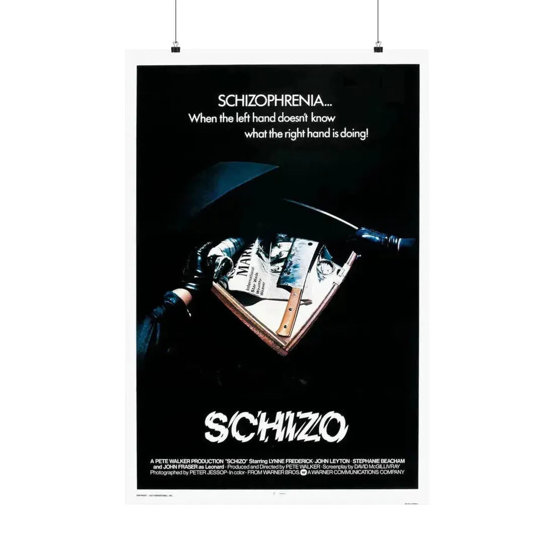 SCHIZO (2) 1976 - Paper Movie Poster 24″ x 36″ Matte - The Sticker Space