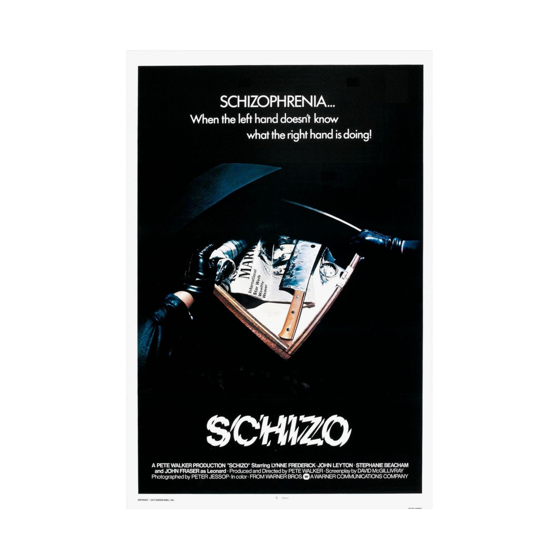 SCHIZO (2) 1976 - Paper Movie Poster-The Sticker Space