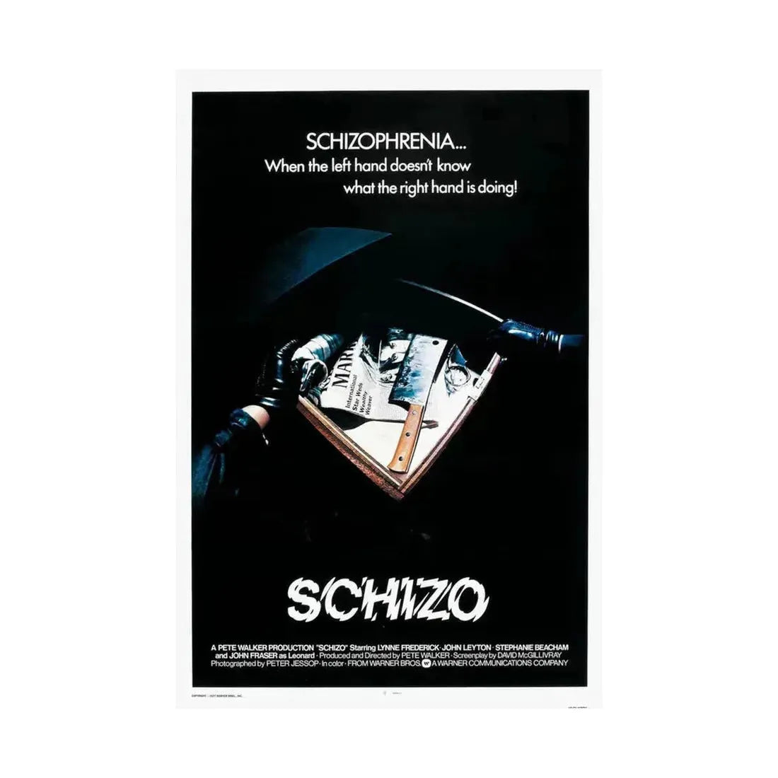 SCHIZO (2) 1976 - Paper Movie Poster - The Sticker Space