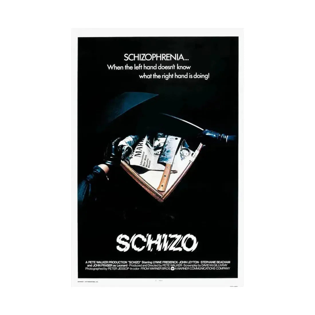 SCHIZO (2) 1976 - Paper Movie Poster - The Sticker Space