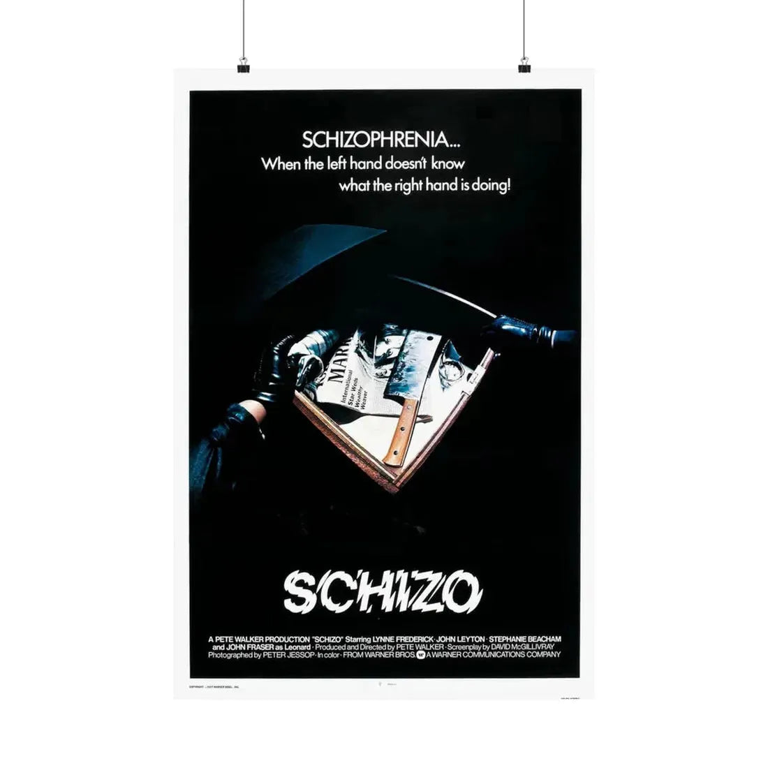 SCHIZO (2) 1976 - Paper Movie Poster - The Sticker Space
