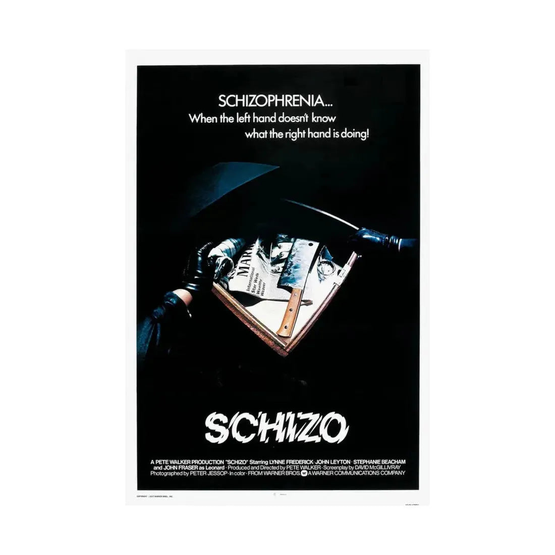 SCHIZO (2) 1976 - Paper Movie Poster - The Sticker Space