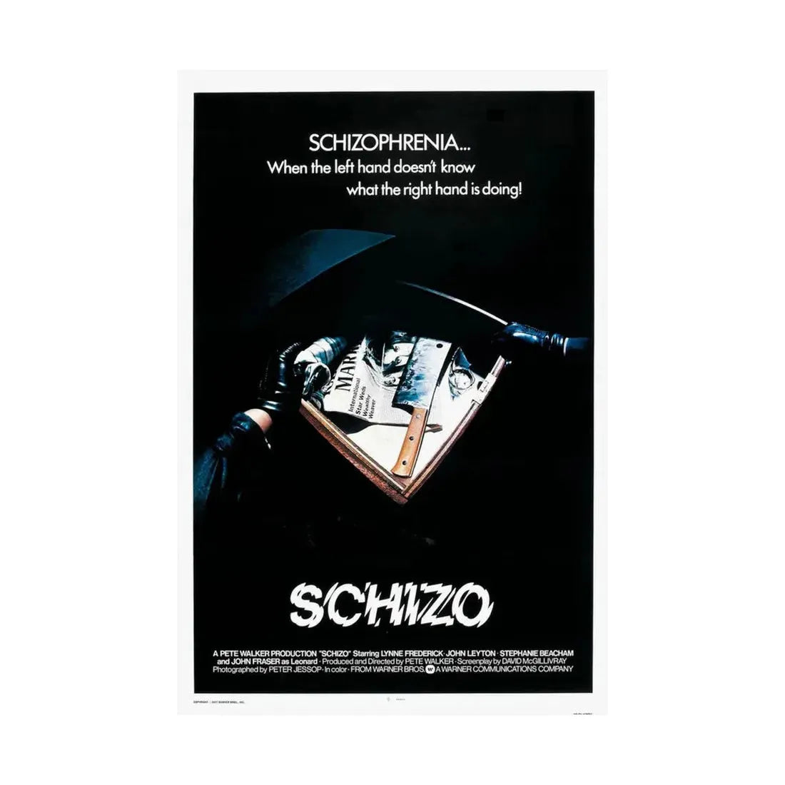 SCHIZO (2) 1976 - Paper Movie Poster - The Sticker Space