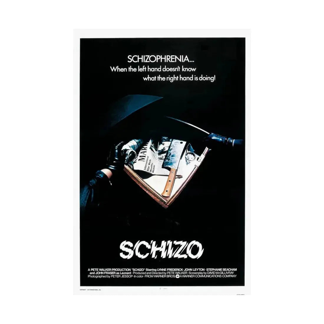 SCHIZO (2) 1976 - Paper Movie Poster - The Sticker Space