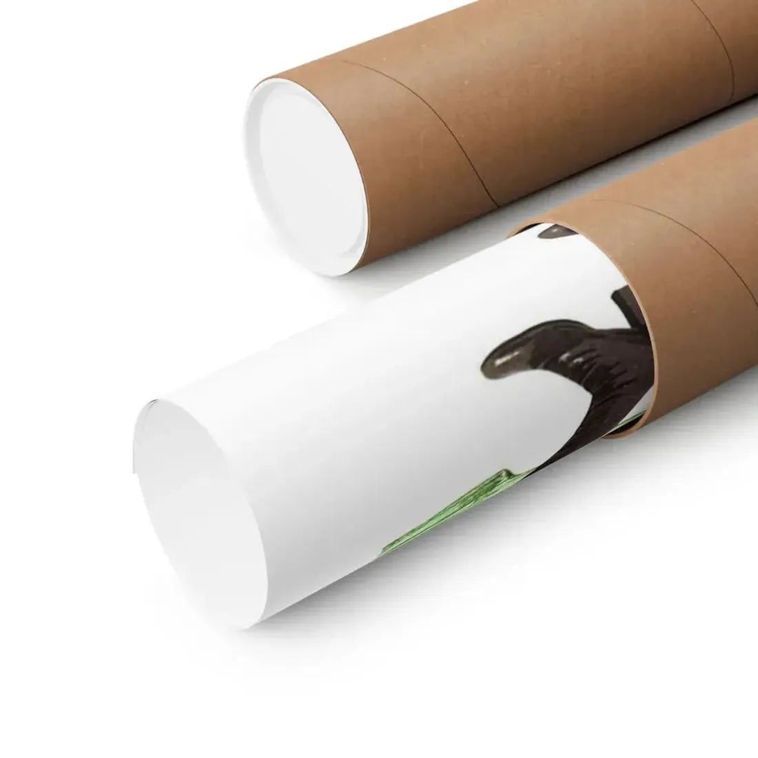 SCHIZOID (A LIZARD IN A WOMAN'S SKIN) 1971 - Paper Movie Poster - The Sticker Space