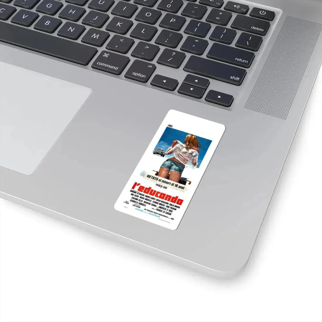 SCHOOLGIRL 1975 Movie Poster - STICKER Vinyl Kiss-Cut Decal - The Sticker Space