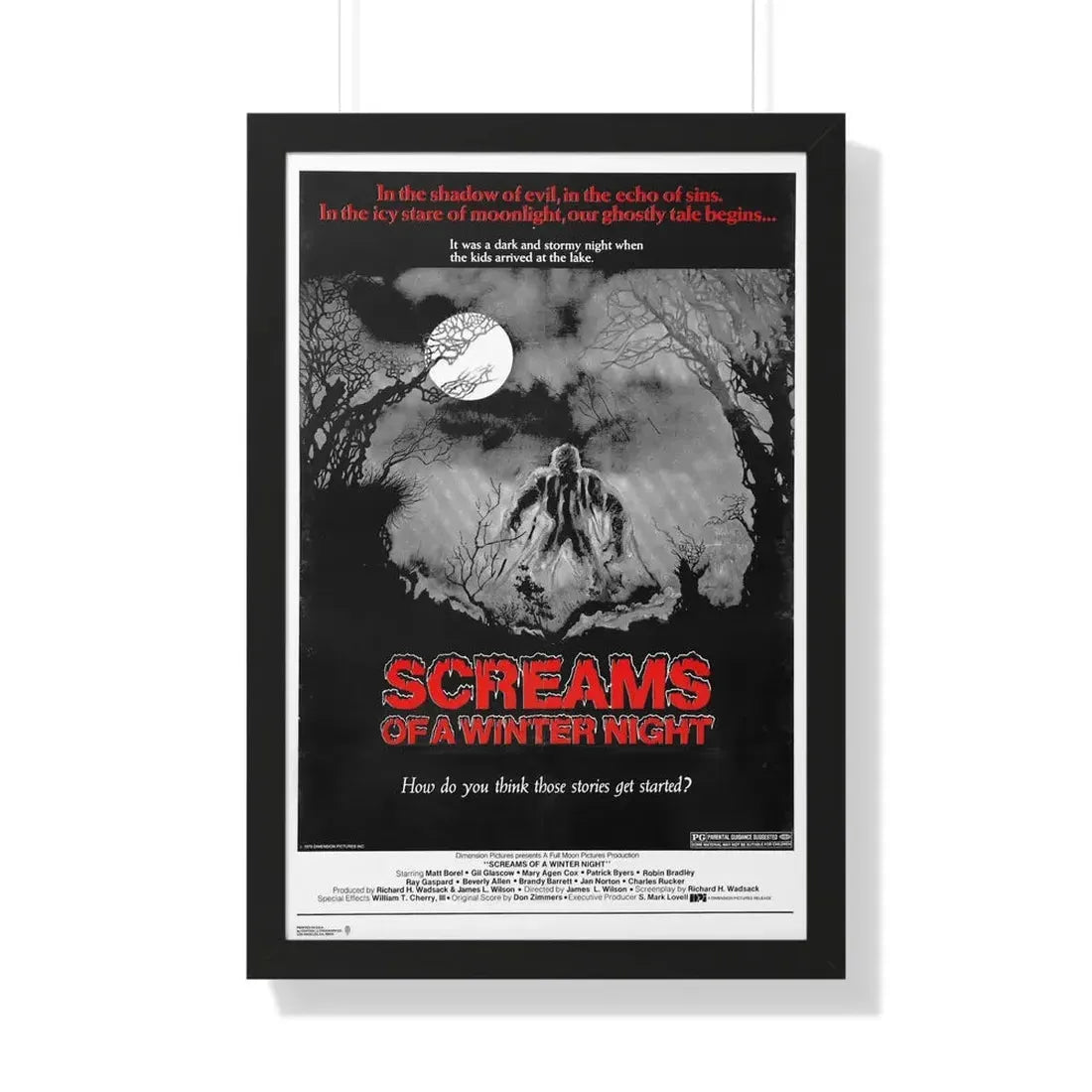 SCREAMS OF A WINTER NIGHT 1979 - Framed Movie Poster 20" x 30" Black - The Sticker Space