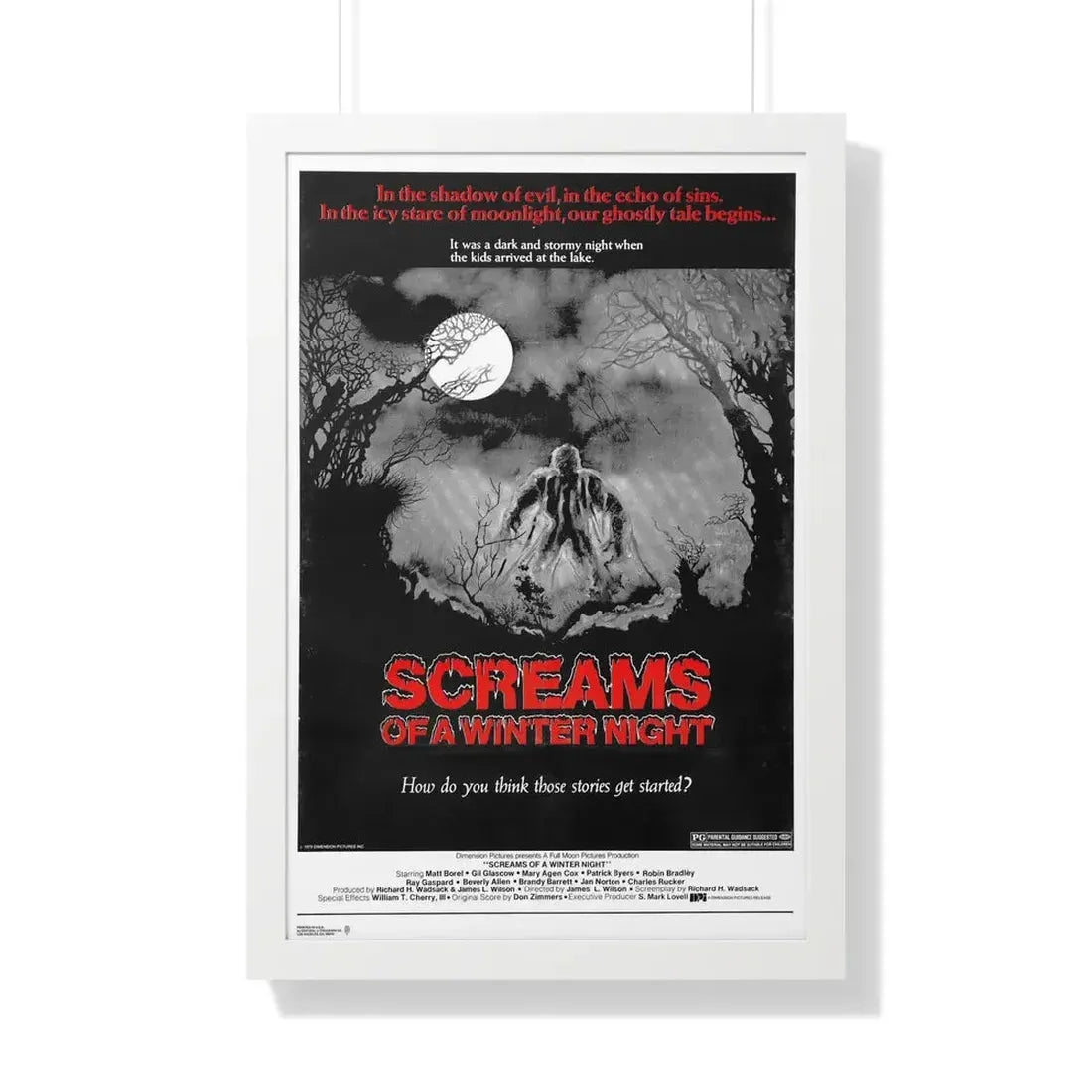 SCREAMS OF A WINTER NIGHT 1979 - Framed Movie Poster 20" x 30" White - The Sticker Space