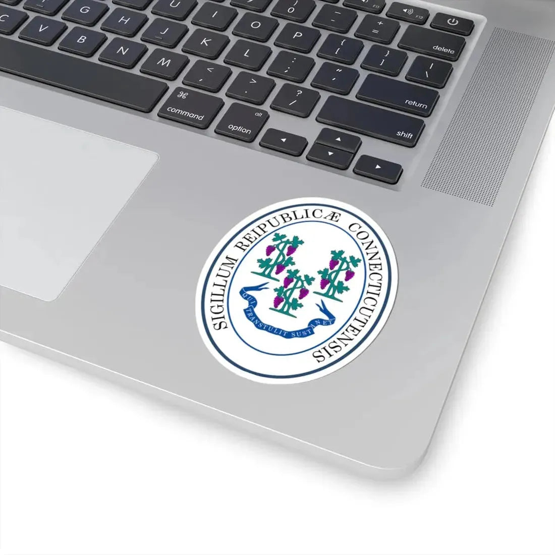 Seal of Connecticut (United States) STICKER Vinyl Kiss-Cut Decal - The Sticker Space