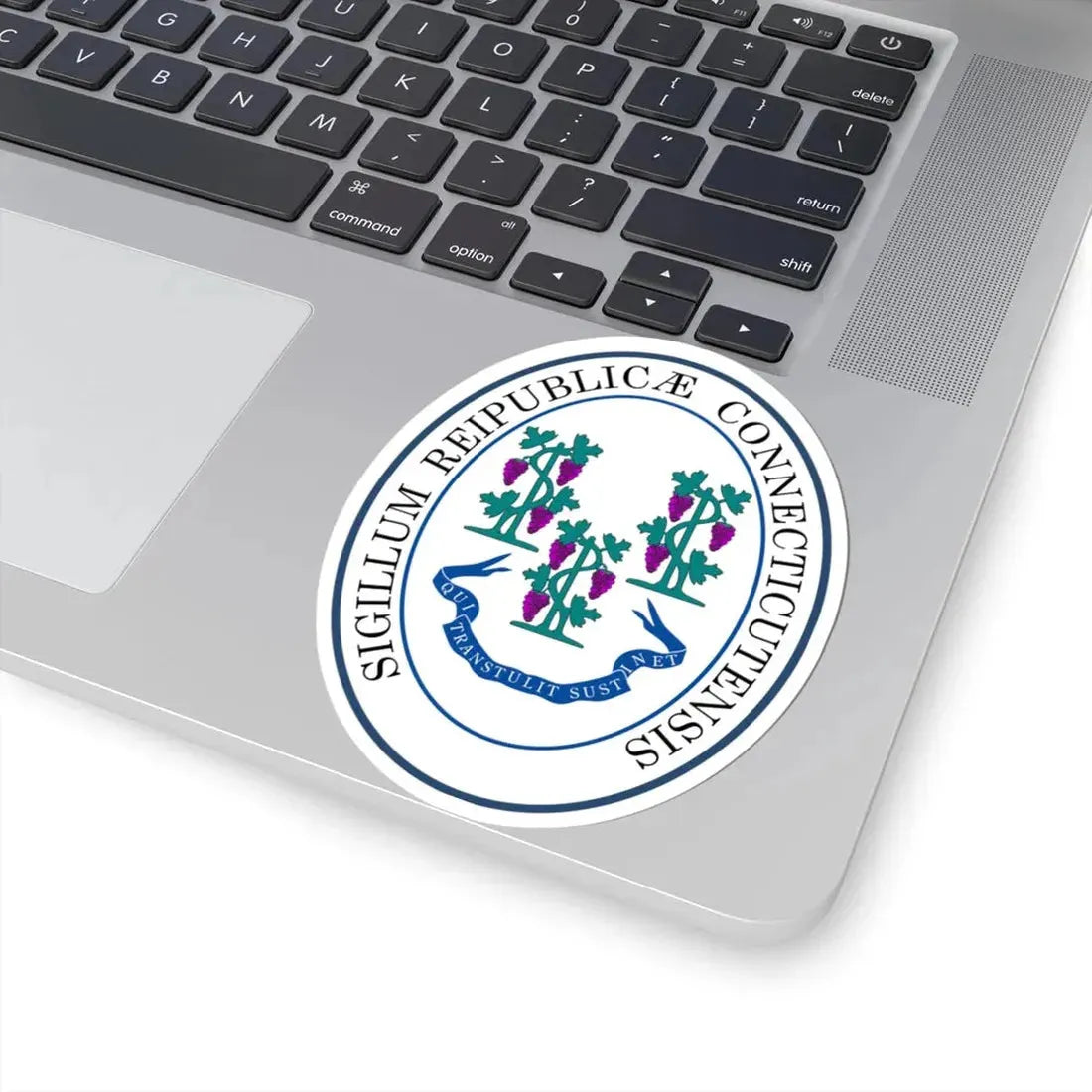 Seal of Connecticut (United States) STICKER Vinyl Kiss-Cut Decal - The Sticker Space