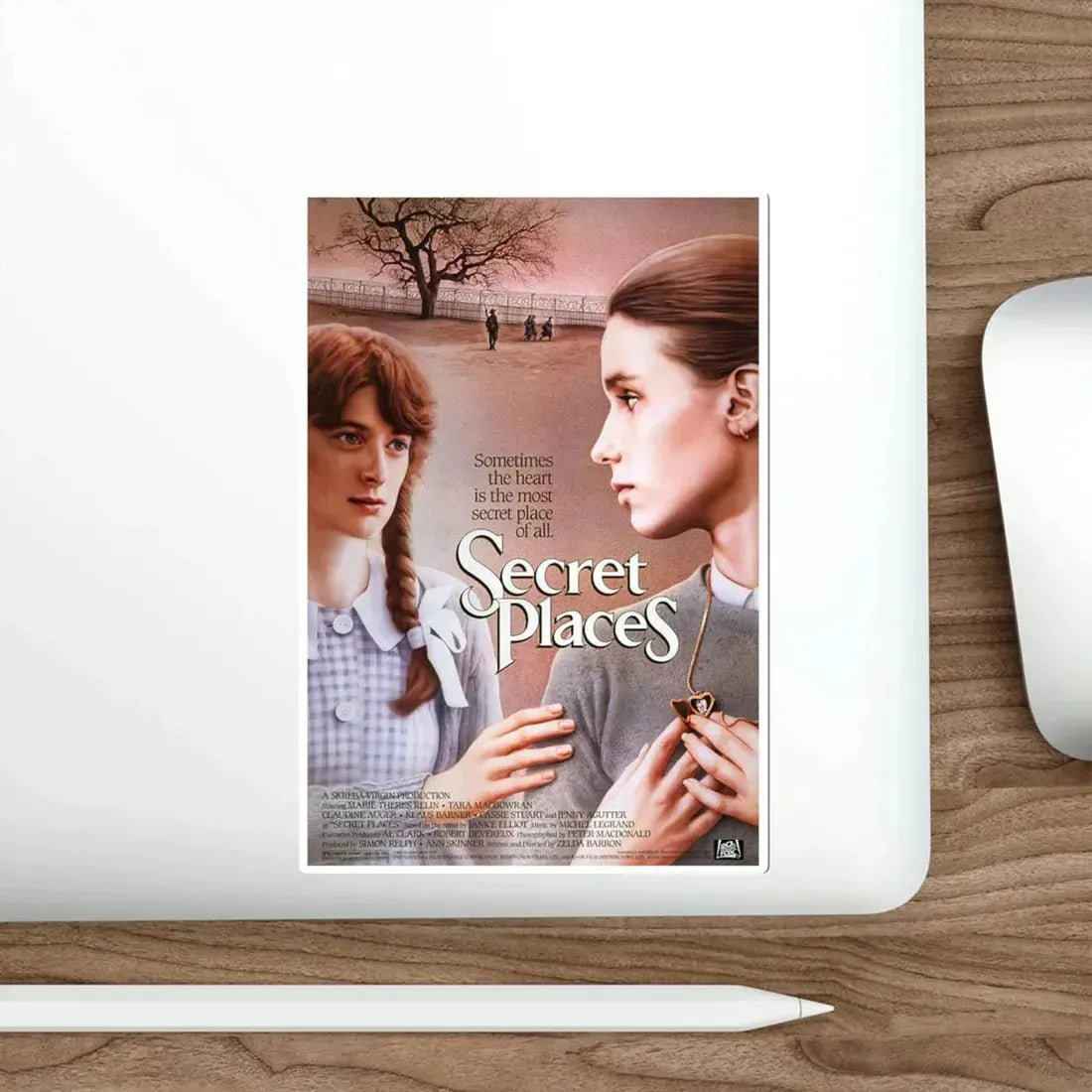 Secret Places 1984 Movie Poster STICKER Vinyl Die-Cut Decal - The Sticker Space