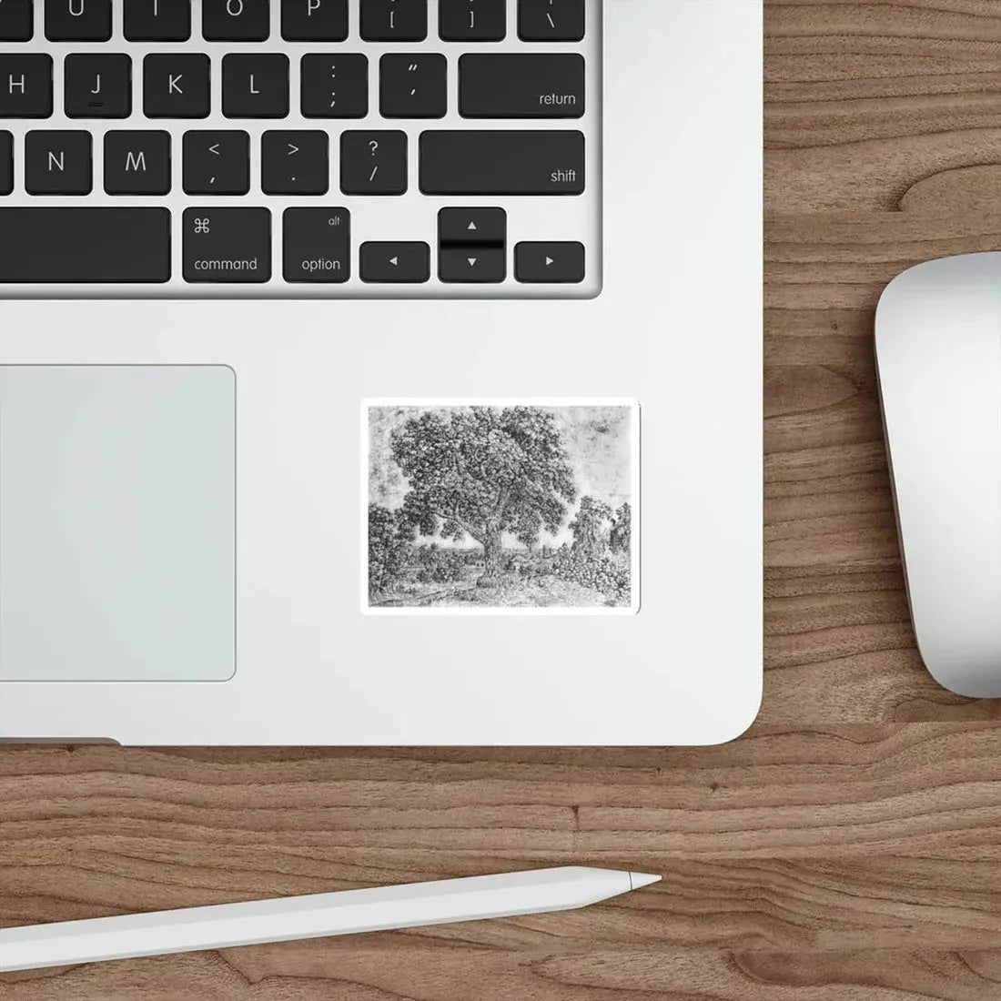 SEGHERS, Hercules - The Great Tree (Artwork) STICKER Vinyl Die-Cut Decal - The Sticker Space