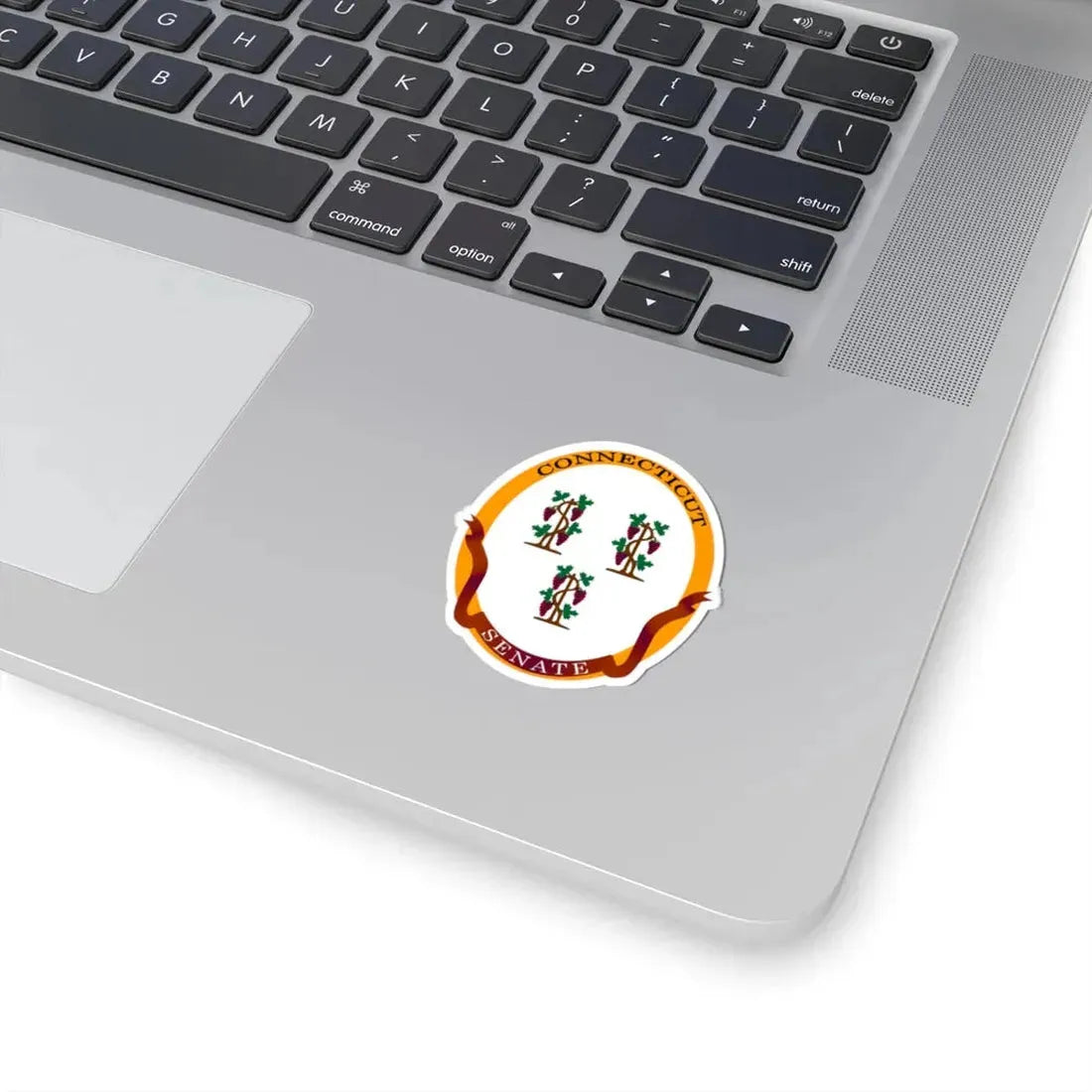 Senate of Connecticut - STICKER Vinyl Kiss-Cut Decal - The Sticker Space
