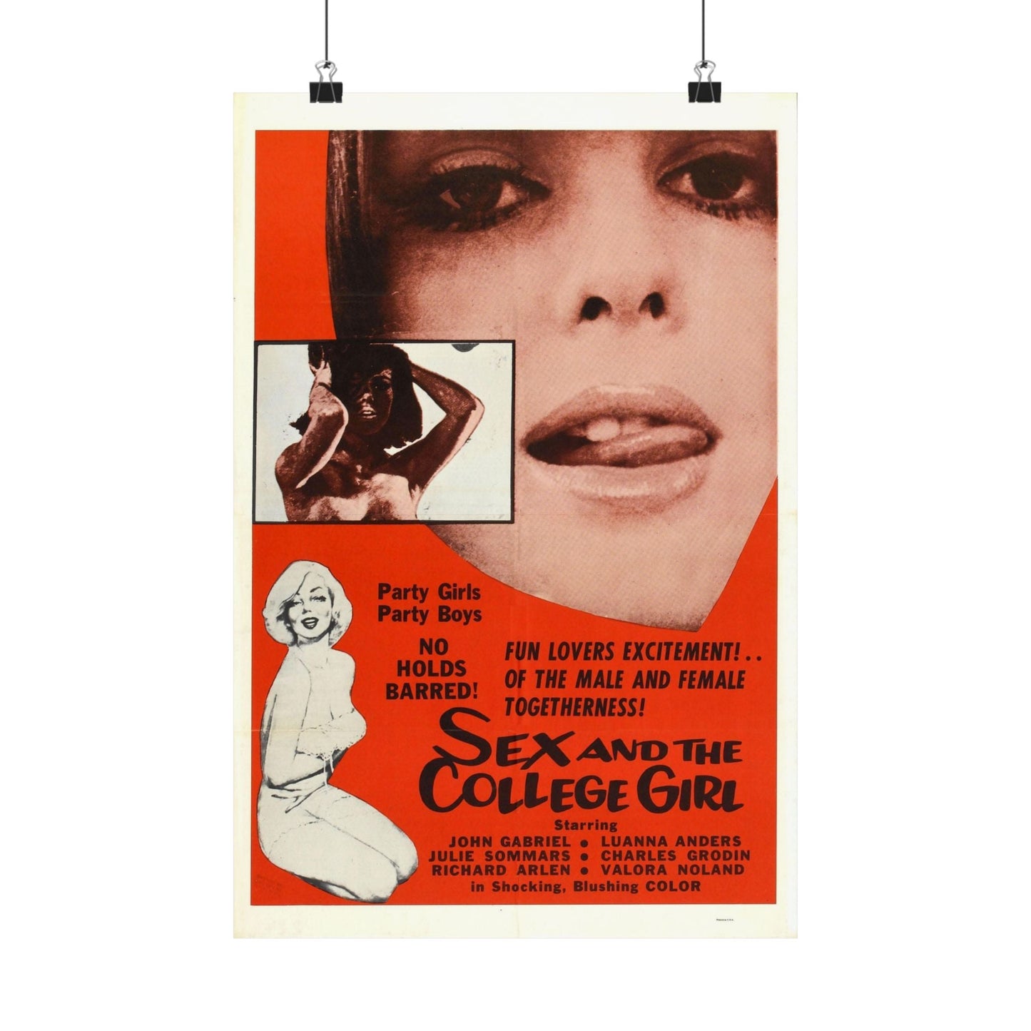 SEX AND THE COLLEGE GIRL 1970 - Paper Movie Poster-12″ x 18″-The Sticker Space