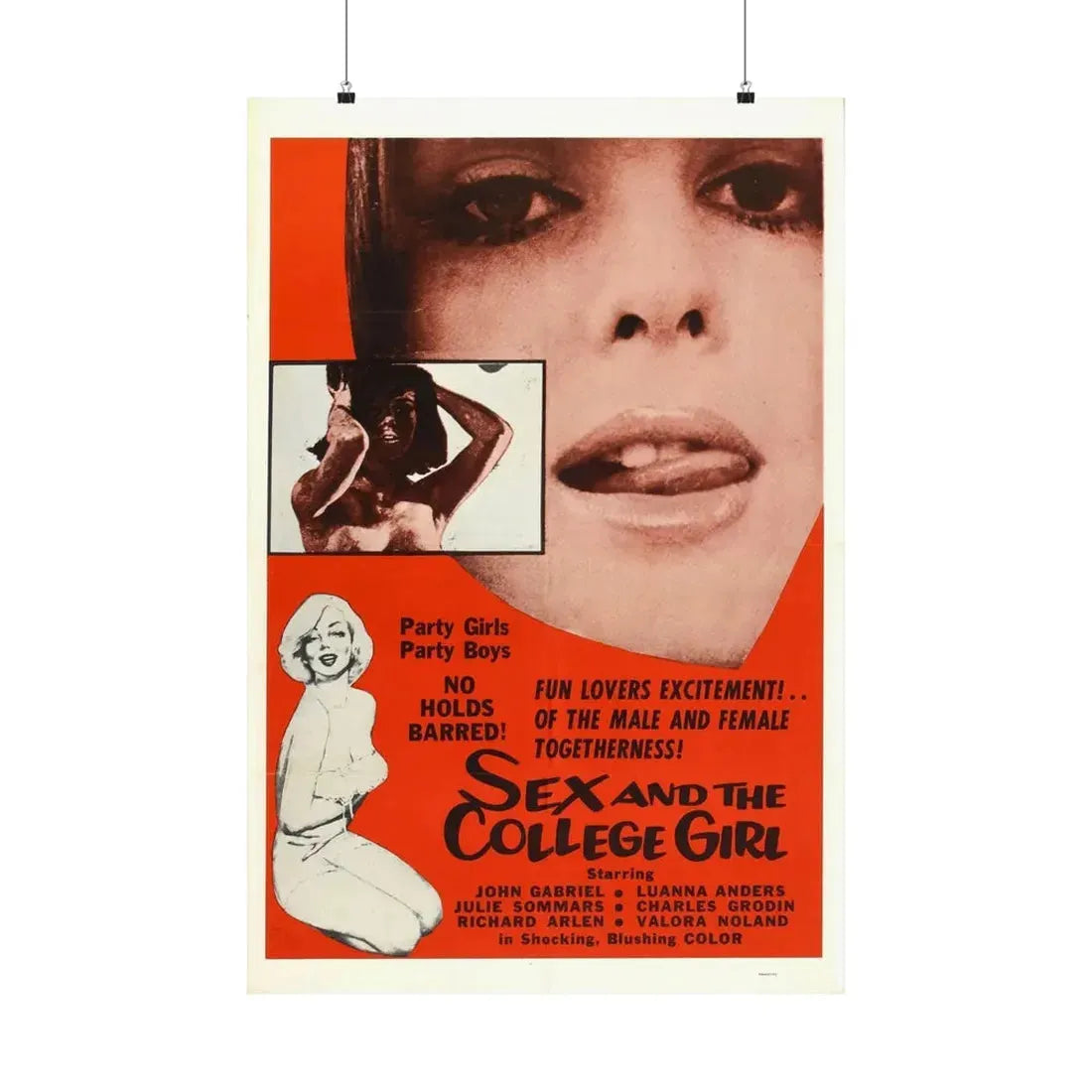 SEX AND THE COLLEGE GIRL 1970 - Paper Movie Poster 24″ x 36″ Matte - The Sticker Space