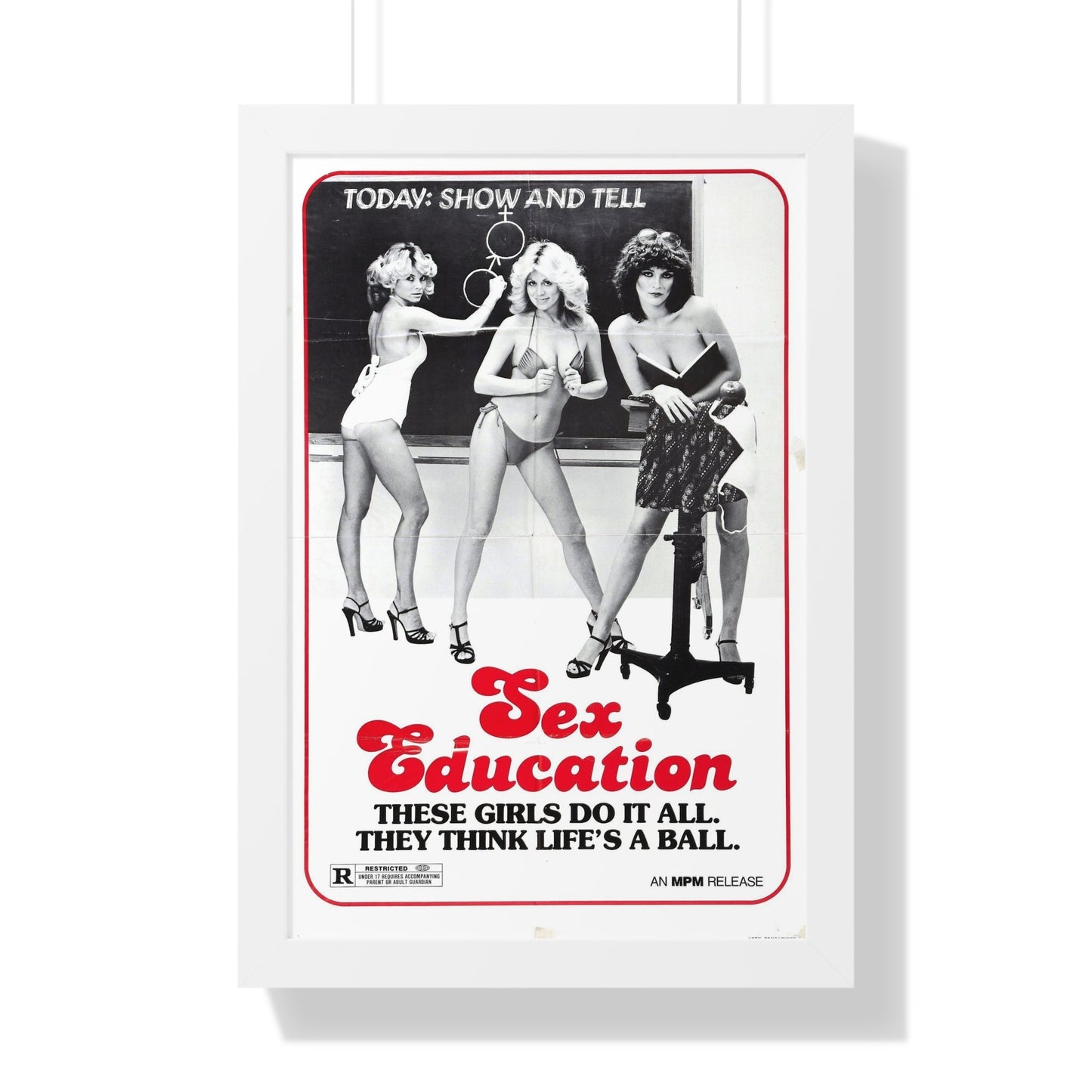 SEX EDUCATION 1979 - Framed Movie Poster-16″ x 24″-The Sticker Space