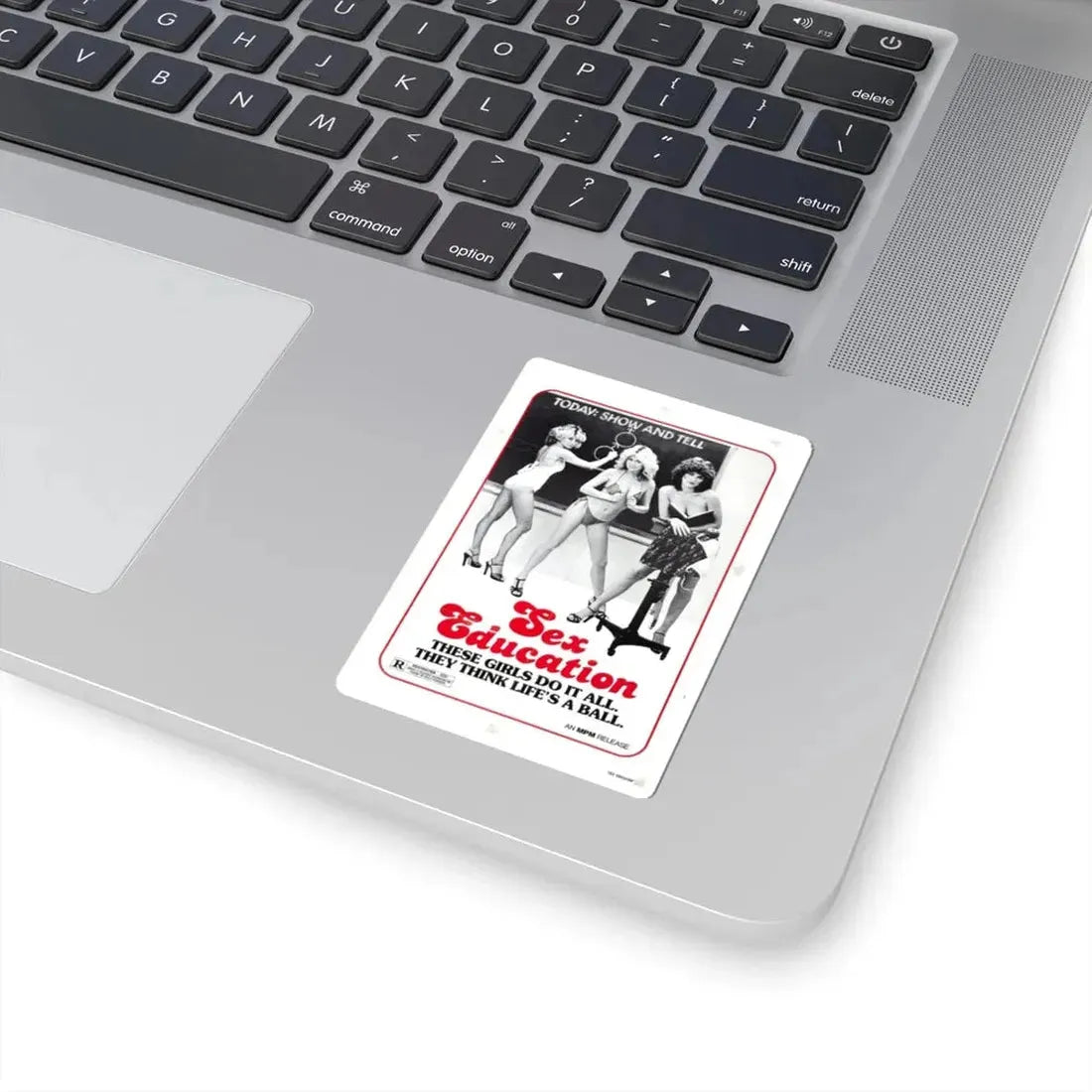 SEX EDUCATION 1979 Movie Poster - STICKER Vinyl Kiss-Cut Decal - The Sticker Space