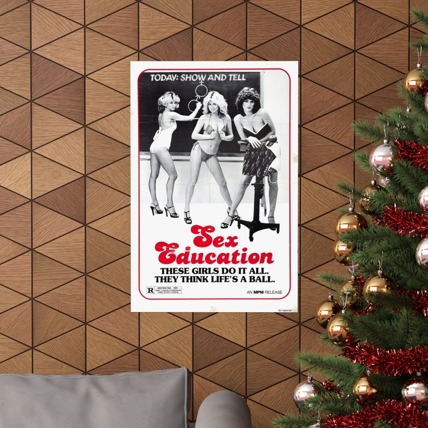 SEX EDUCATION 1979 - Paper Movie Poster-The Sticker Space