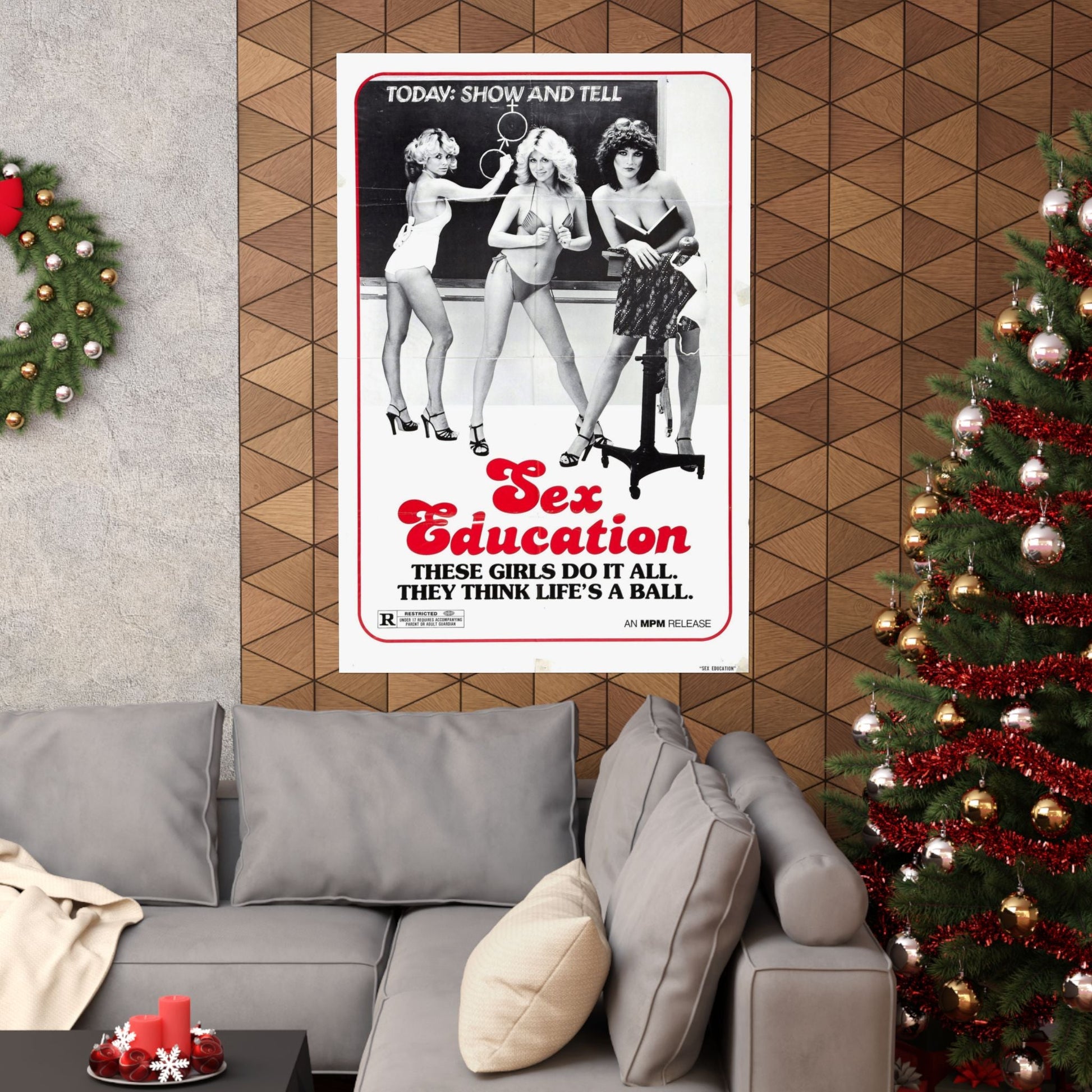 SEX EDUCATION 1979 - Paper Movie Poster-The Sticker Space