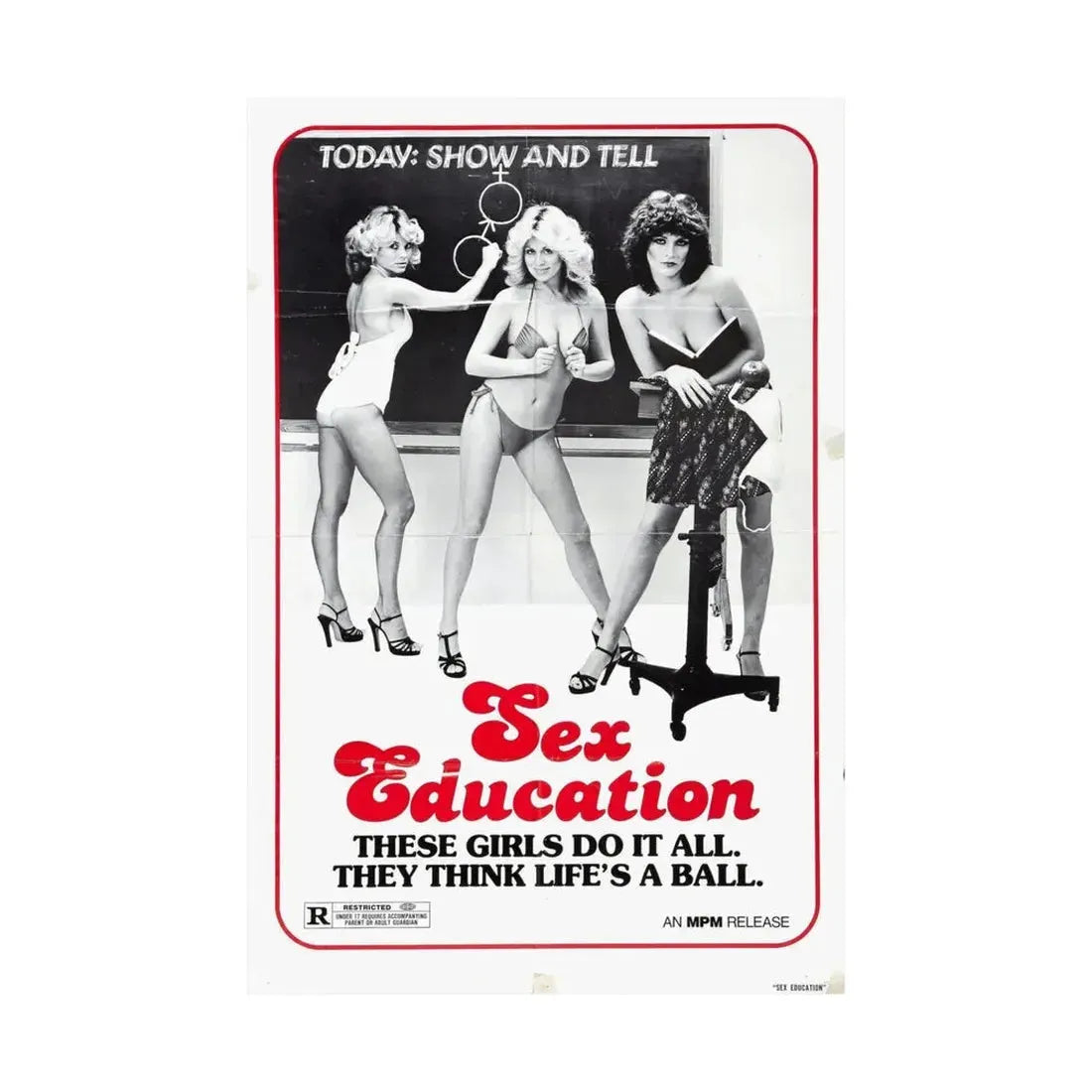 SEX EDUCATION 1979 - Paper Movie Poster - The Sticker Space