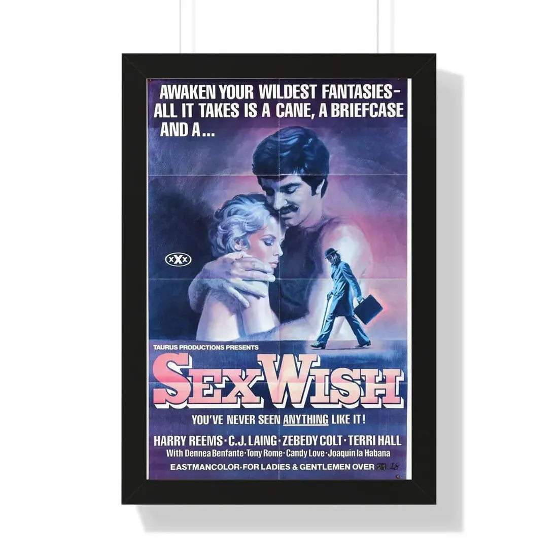 SEX WISH 1976 - Framed Movie Poster 16″ x 24″ Black - The Sticker Space