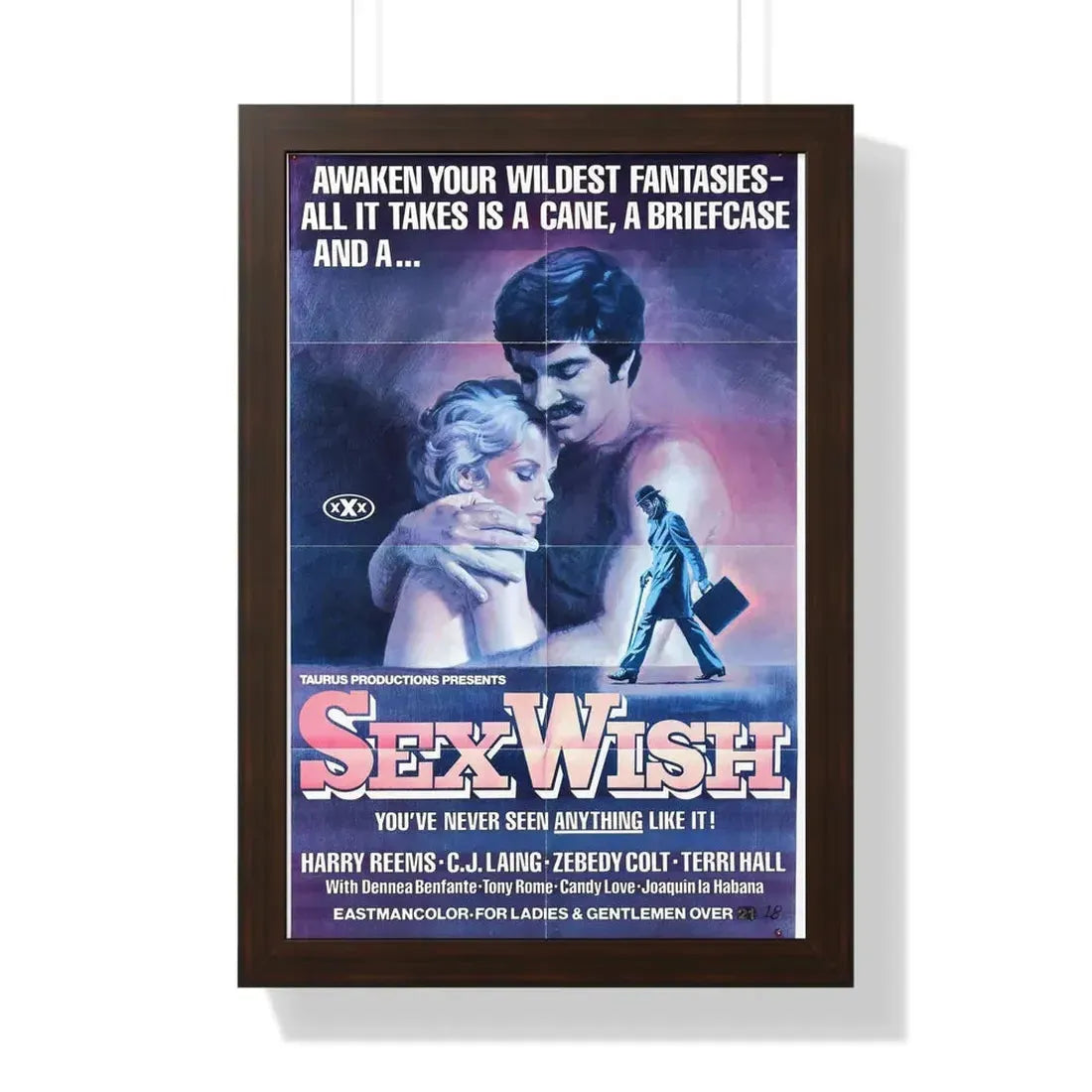 SEX WISH 1976 - Framed Movie Poster 16″ x 24″ Walnut - The Sticker Space