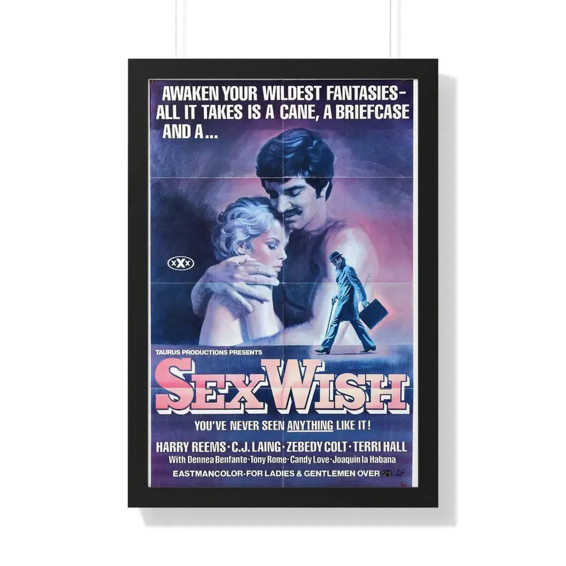 SEX WISH 1976 - Framed Movie Poster 20" x 30" Black - The Sticker Space
