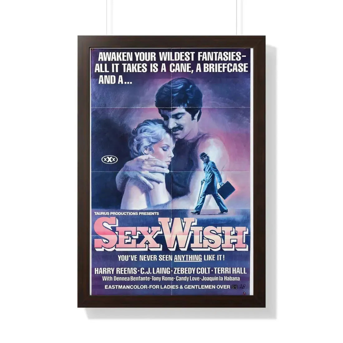 SEX WISH 1976 - Framed Movie Poster 20" x 30" Walnut - The Sticker Space