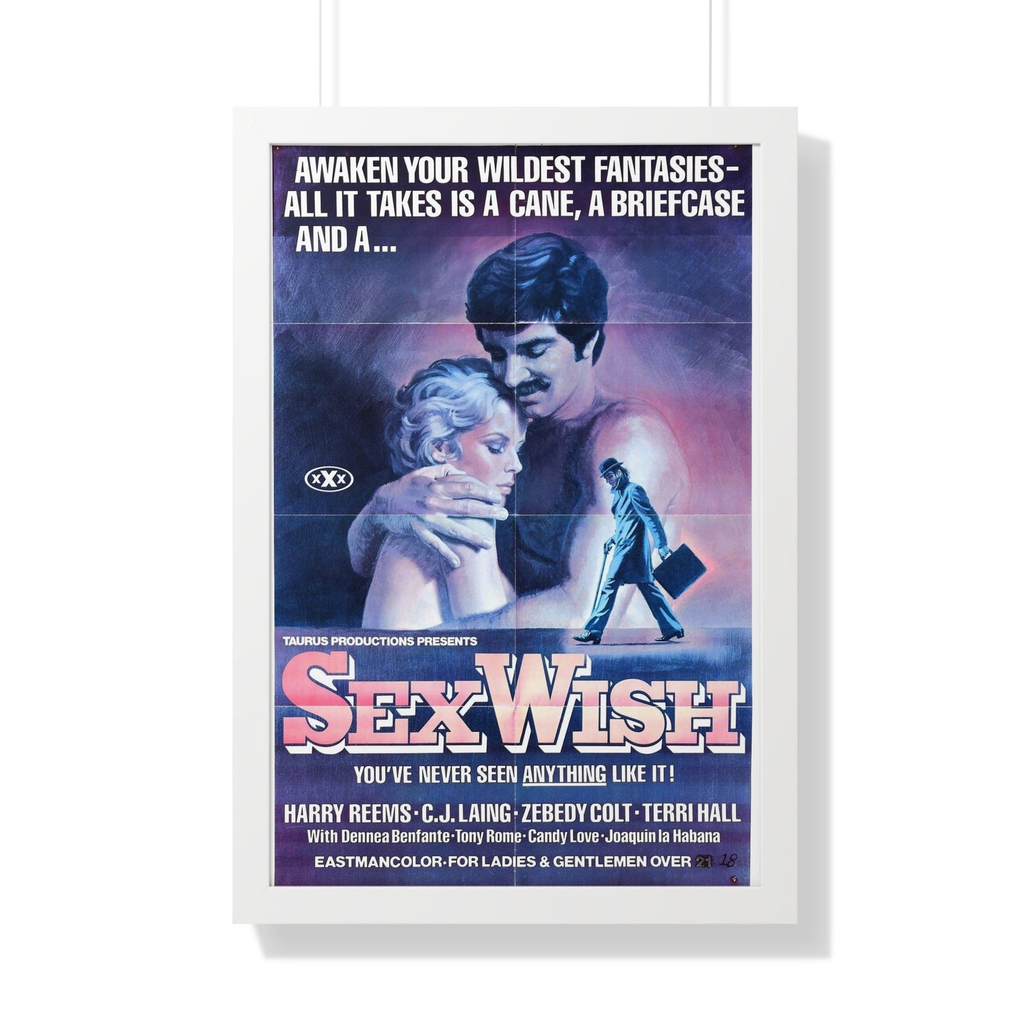 SEX WISH 1976 - Framed Movie Poster-20" x 30"-The Sticker Space