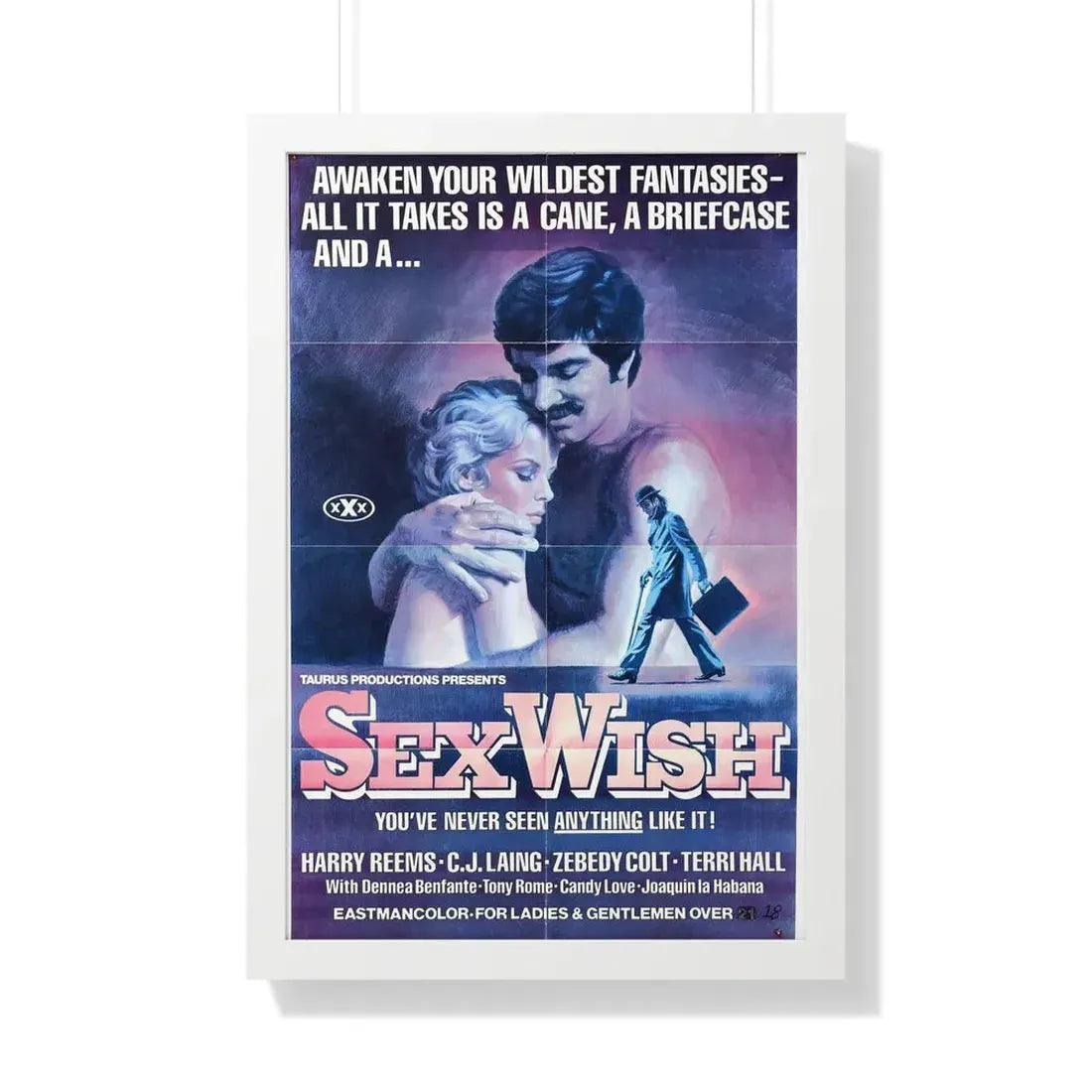 SEX WISH 1976 - Framed Movie Poster 20" x 30" White - The Sticker Space