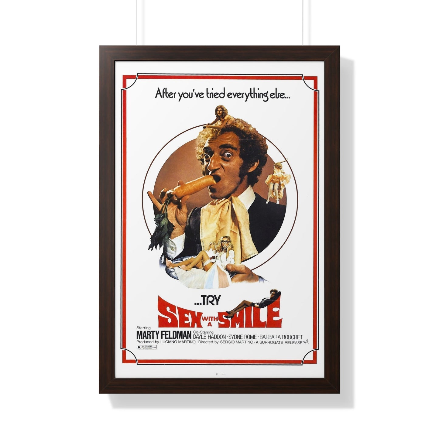 SEX WITH A SMILE 1976 - Framed Movie Poster-20" x 30"-The Sticker Space