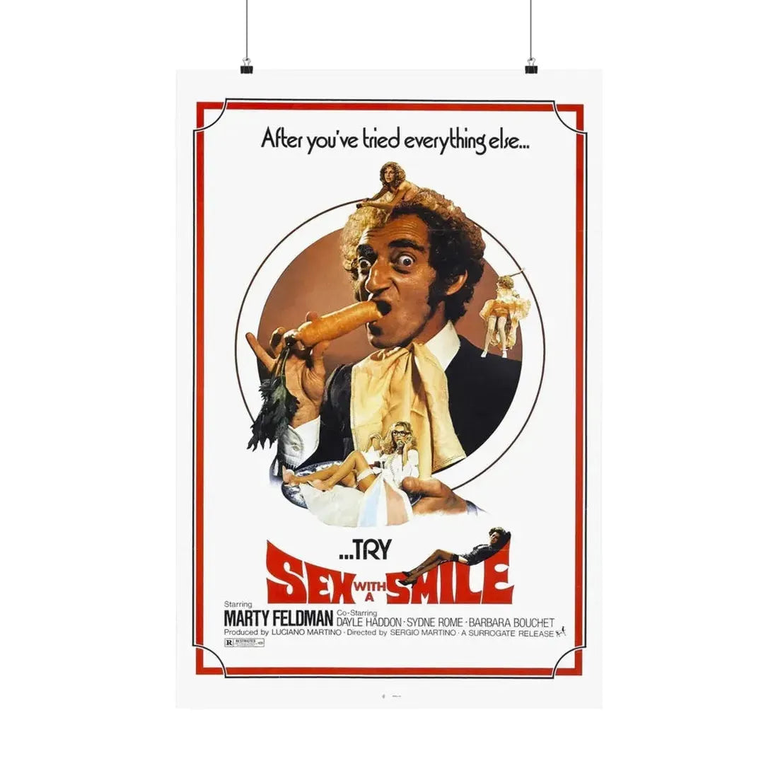 SEX WITH A SMILE 1976 - Paper Movie Poster 24″ x 36″ Matte - The Sticker Space