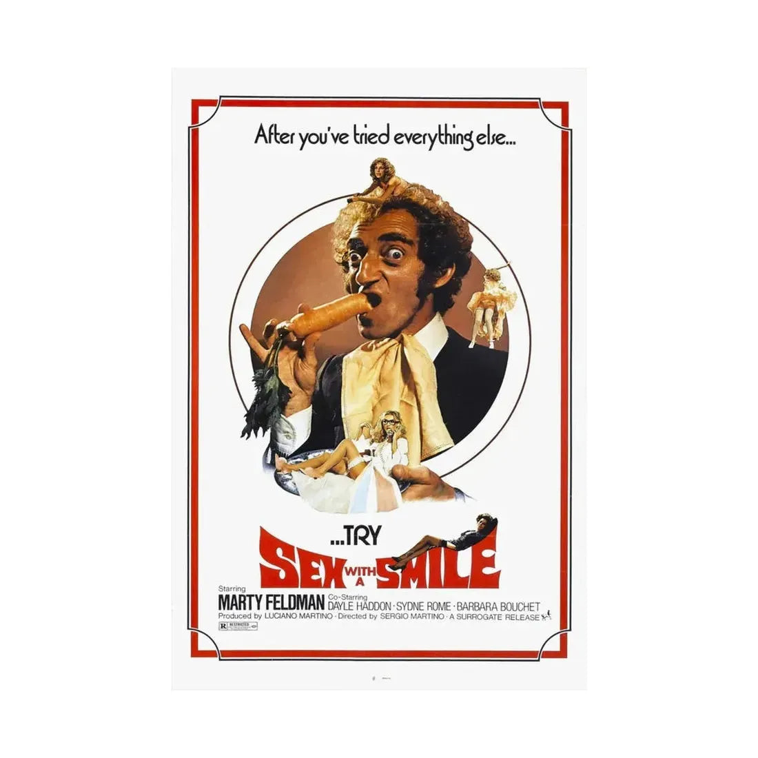 SEX WITH A SMILE 1976 - Paper Movie Poster - The Sticker Space