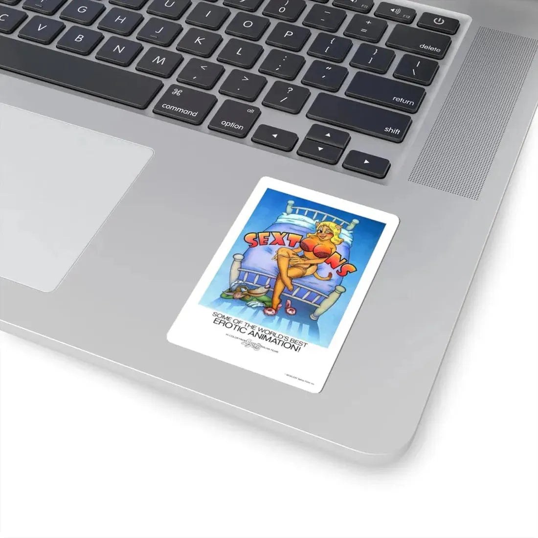 SEXTOONS 1975 Movie Poster - STICKER Vinyl Kiss-Cut Decal - The Sticker Space