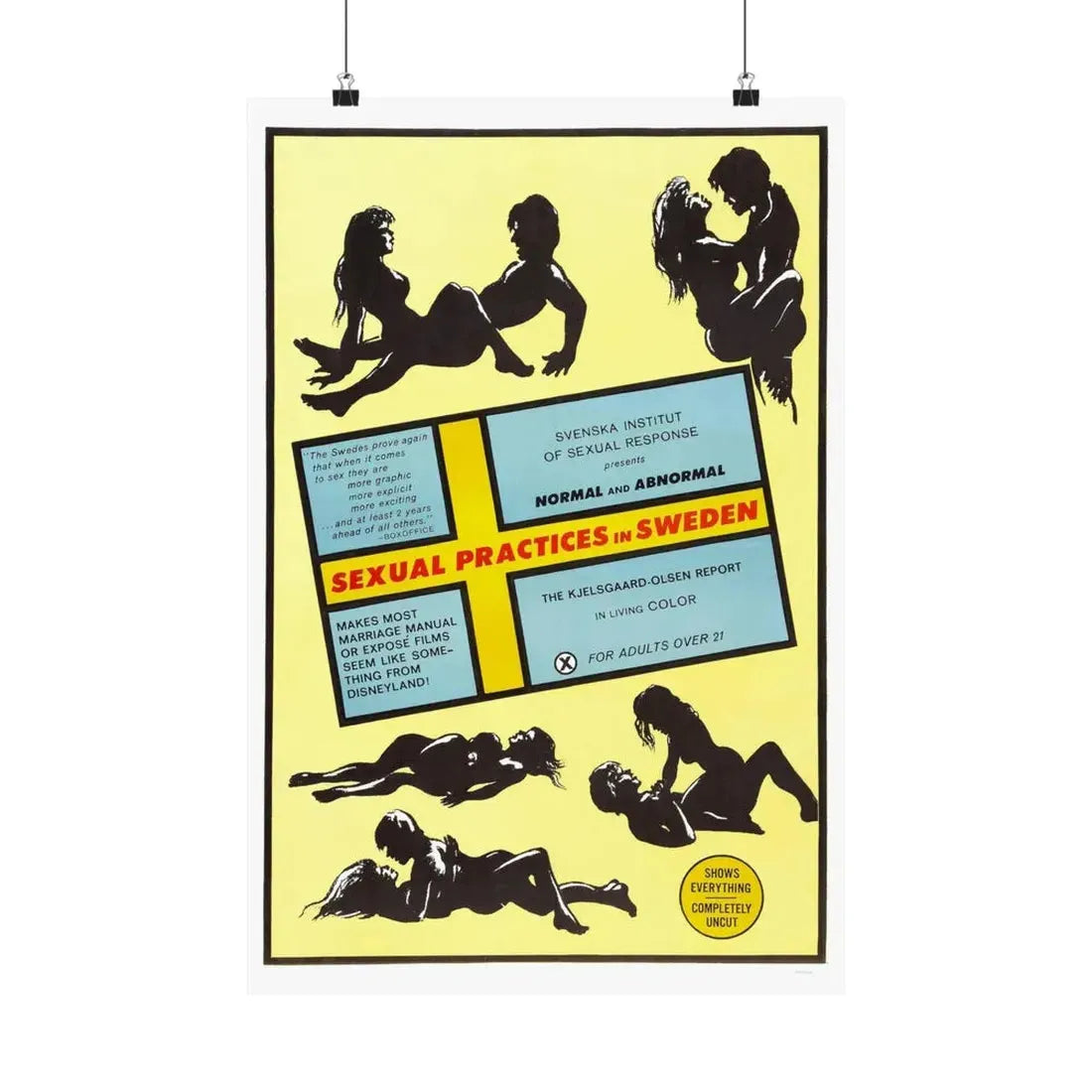 SEXUAL PRACTICES IN SWEDEN 1970 - Paper Movie Poster 16″ x 24″ Matte - The Sticker Space