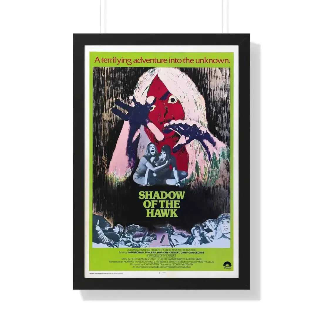 SHADOW OF THE HAWK 1976 - Framed Movie Poster 20" x 30" Black - The Sticker Space