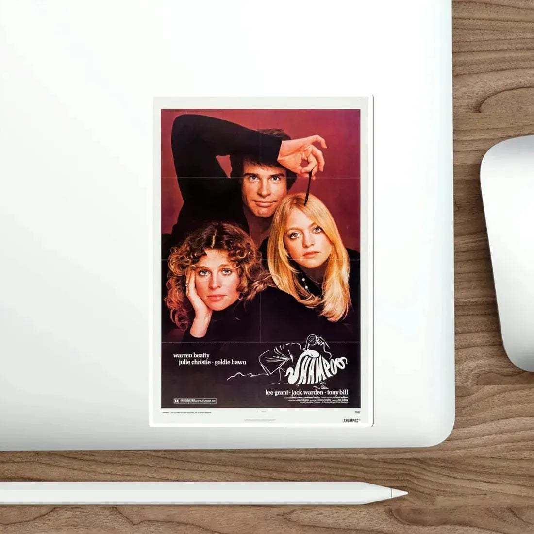 Shampoo 1975 Movie Poster STICKER Vinyl Die-Cut Decal - The Sticker Space