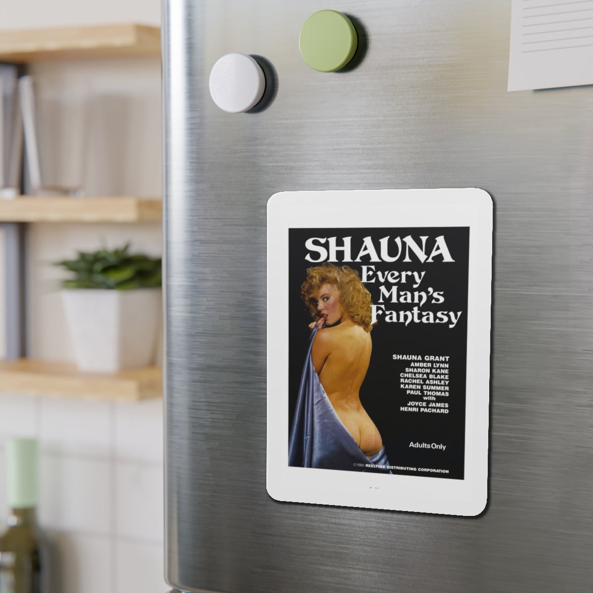 SHAUNA EVERY MAN'S FANTASY 1985 Movie Poster - Refrigerator Magnet-The Sticker Space