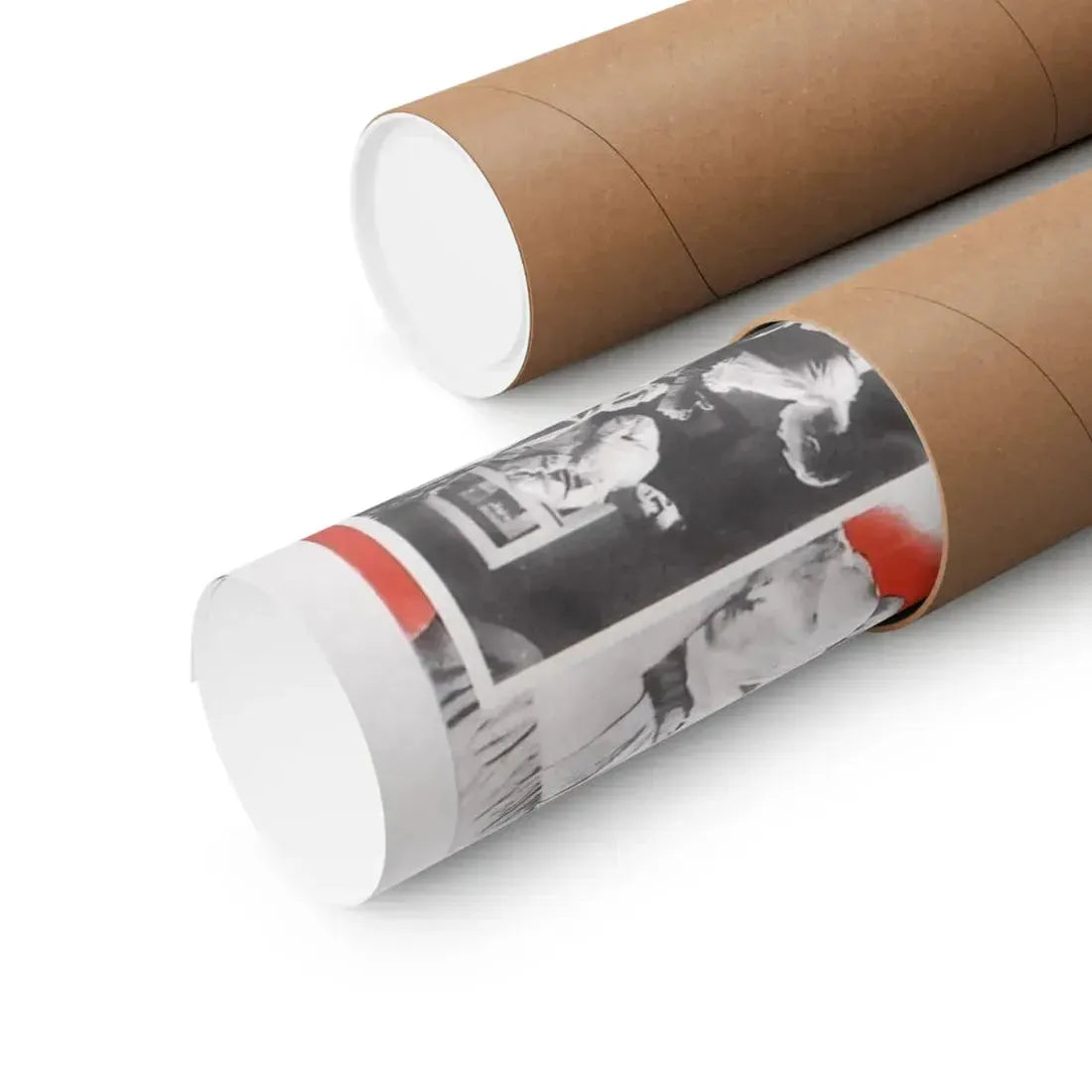 SHE DEVIL 1989 - Paper Movie Poster - The Sticker Space