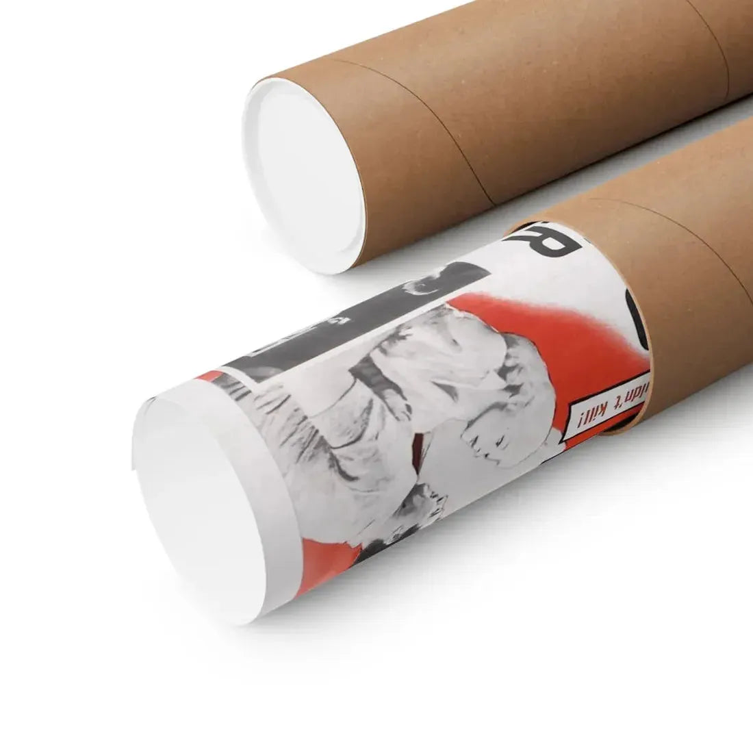 SHE DEVIL 1989 - Paper Movie Poster - The Sticker Space