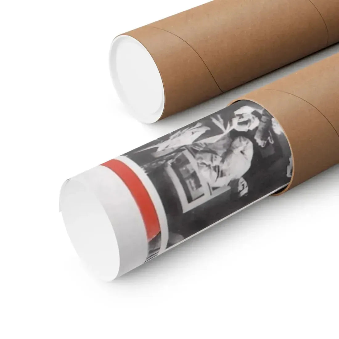 SHE DEVIL 1989 - Paper Movie Poster - The Sticker Space