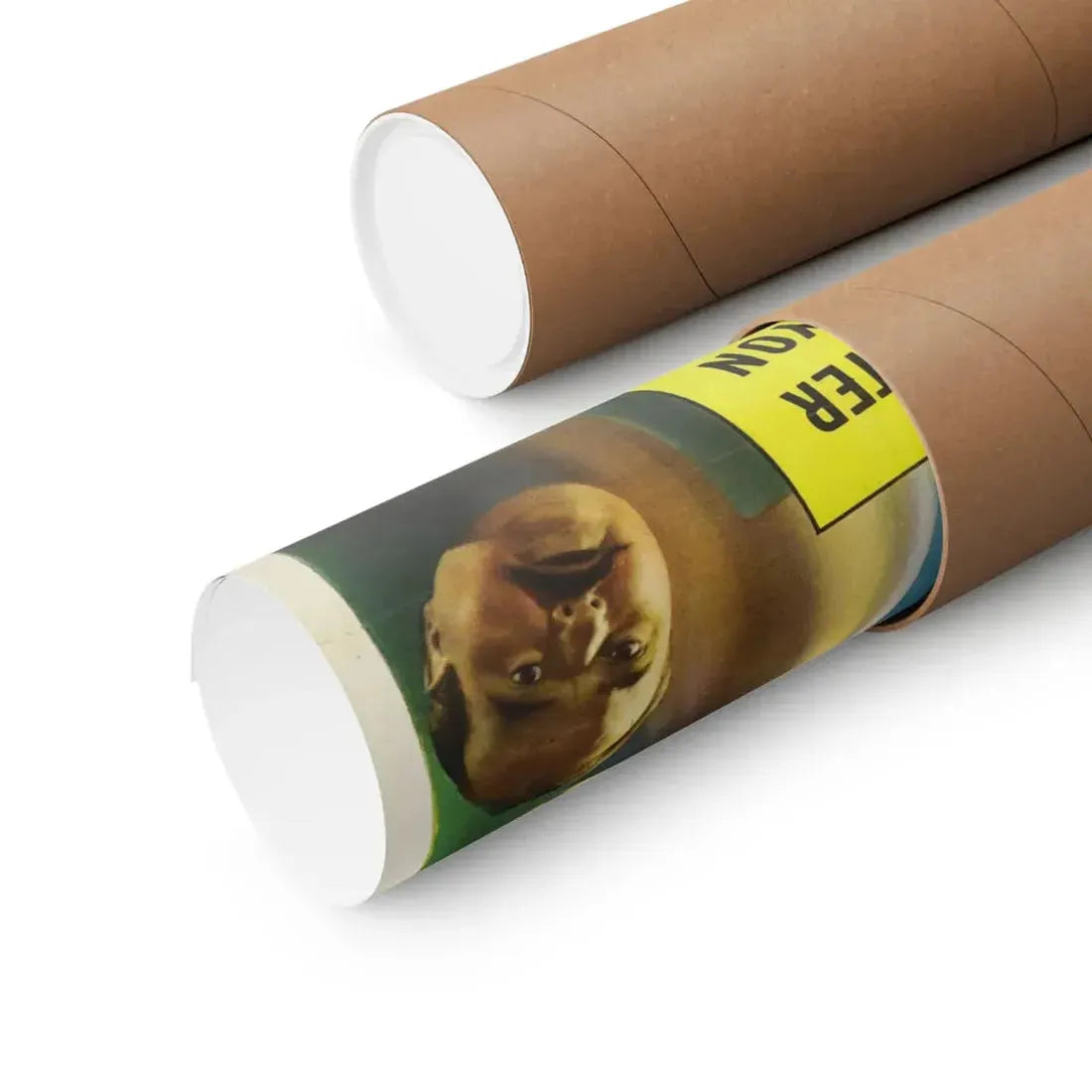 SHE-WOLF OF LONDON 1946 - Paper Movie Poster - The Sticker Space