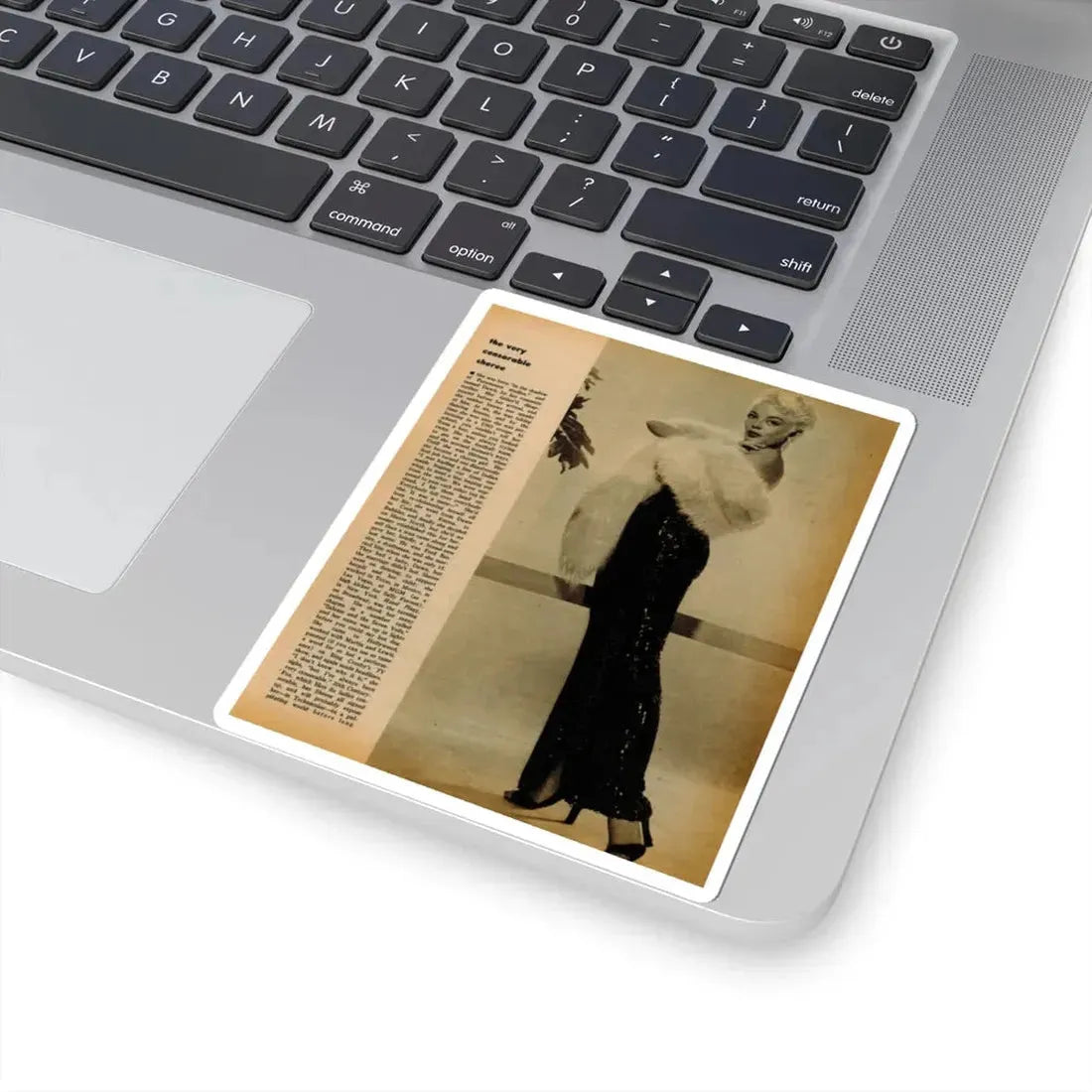 Sheree North #343 - 1 8x10 Page of B&W Glamour Photo with, Short Article from Movie Star Magazine Circa 1950's (Vintage Female Icon) STICKER Vinyl Kiss-Cut Decal - The Sticker Space