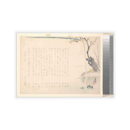 SKU:TSS-STICK-SHBZSH-2X2-14JZL Sizes:2" × 2" Types:Transparent