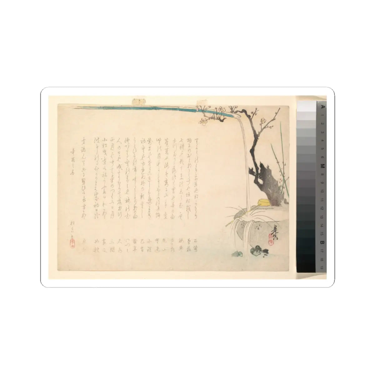 SKU:TSS-STICK-SHBZSH-4X4-5 Sizes:4" × 4" Types:White