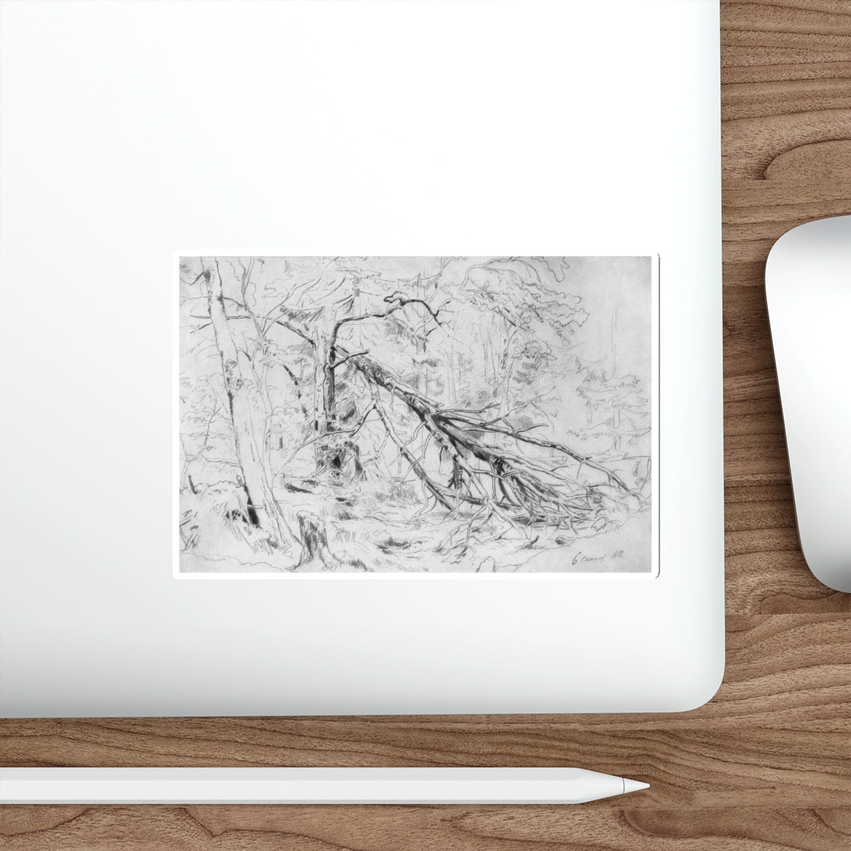 SHISKIN, Ivan Ivanovich - Broken Birch 1872 (Artwork) STICKER Vinyl Die-Cut Decal-The Sticker Space