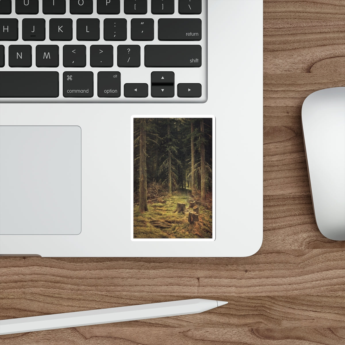 SHISKIN, Ivan Ivanovich - Coniferous Forest 144h98 1873 (Artwork) STICKER Vinyl Die-Cut Decal-The Sticker Space