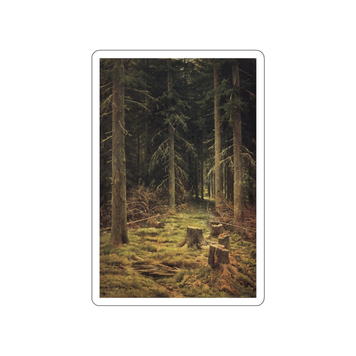 SHISKIN, Ivan Ivanovich - Coniferous Forest 144h98 1873 (Artwork) STICKER Vinyl Die-Cut Decal-White-The Sticker Space