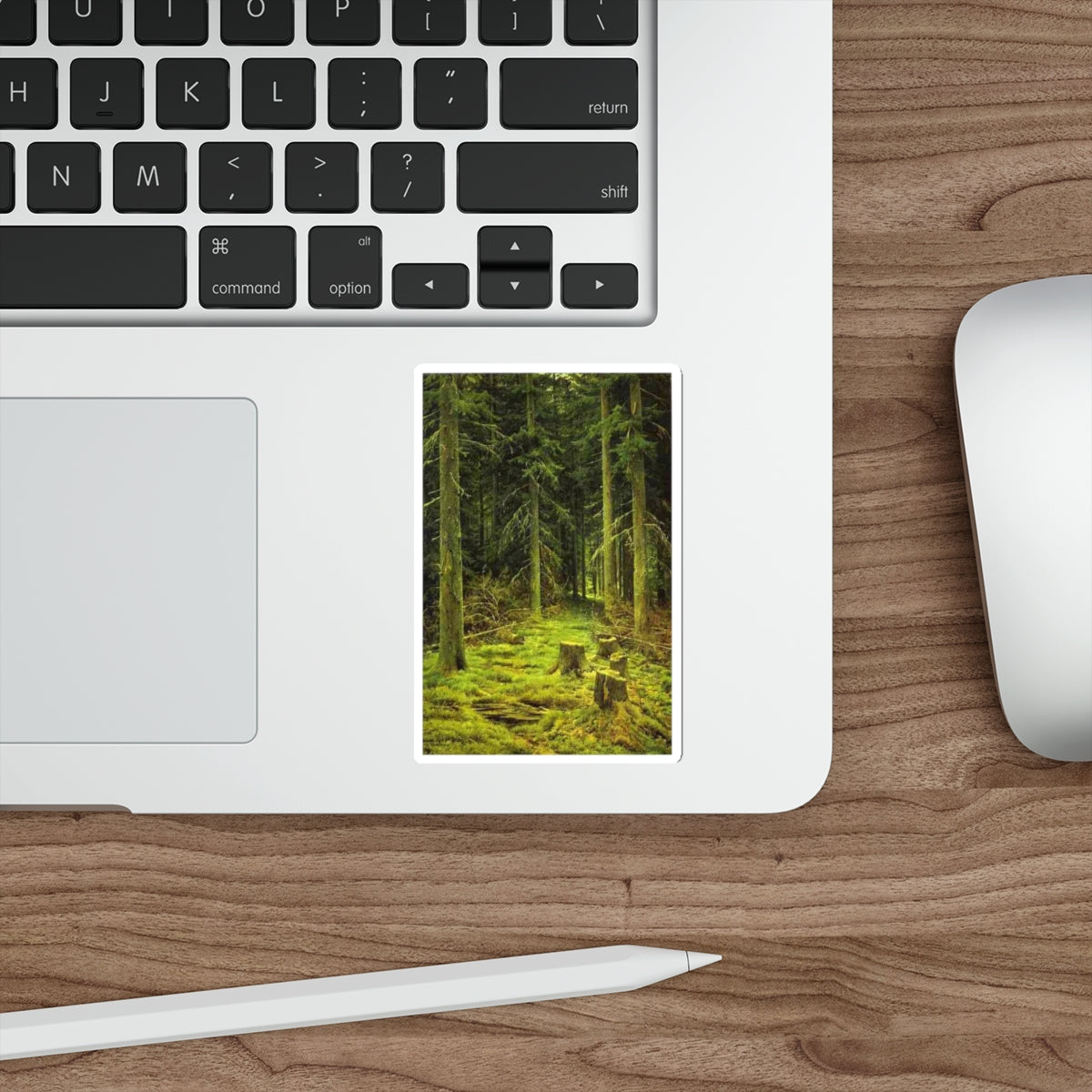 SHISKIN, Ivan Ivanovich - Coniferous Forest. 1873 (Artwork) STICKER Vinyl Die-Cut Decal-The Sticker Space