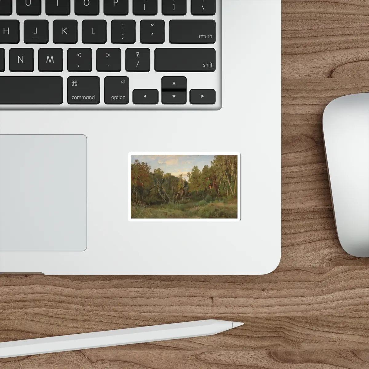 SKU:11953461051652445593 Sticker types:White Shape:Die-Cut Sizes:3" × 3"